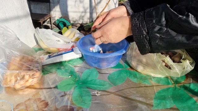 Уже сажу огород! Убирать ли листья осенью! Посадка лука и чеснока под зиму, Лещина, Живу в деревне смотреть онлайн
