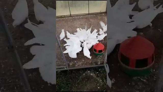 12 февраля 2024 г. смотреть онлайн