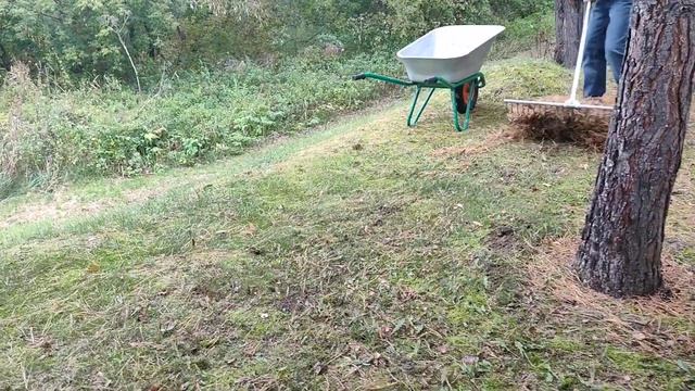 Очень полезные инструменты для сада, огорода и не только. Садовые ножницы и грабли Falci. смотреть онлайн