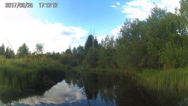 Ловля щуки ( Архангельская область) смотреть онлайн