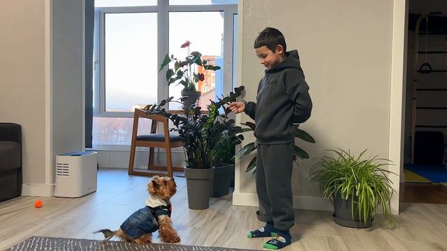 Mat takes care of his puppy. Rules of dog care from Mat смотреть онлайн