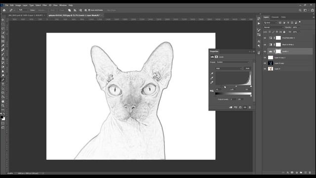 Photoshop: How to Turn Sphynx Cat into Pencil Drawing - Sketch Effect смотреть онлайн
