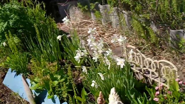 это,дедушка, косит,траву,очень круто,и красиво.!!!!!??????? смотреть онлайн