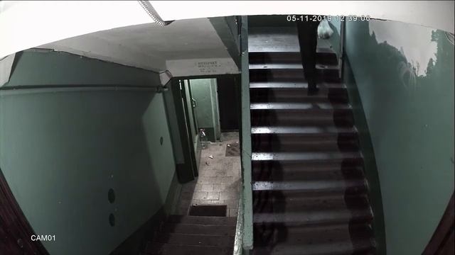 кража фикуса смотреть онлайн