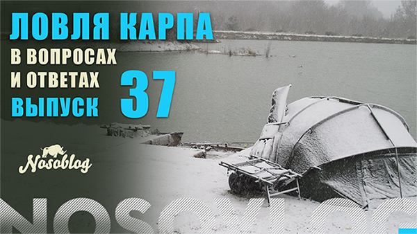 Карпфишинг в вопросах и ответах, выпуск 37, Колесников А. смотреть онлайн