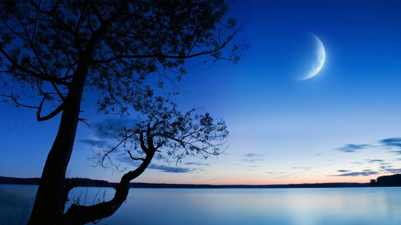 С.Есенин. Сонет смотреть онлайн