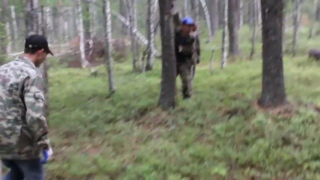 В тайгу за кедровыми шишками. Забайкалье. Малханский хребет. смотреть онлайн