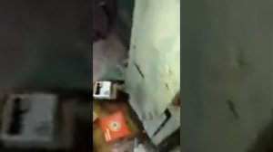 Газель Некст Прокладка Поддона Замена.