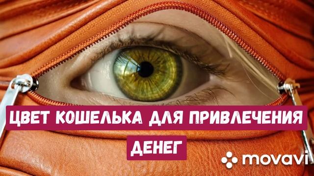 ЦВЕТ КОШЕЛЬКА для привлечения ДЕНЕГ. смотреть онлайн