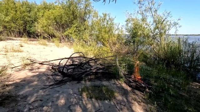 Не раздавайте трофейную рыбу раньше времени!!! смотреть онлайн