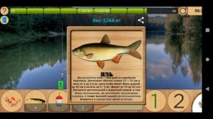 Как поймать Язя на Лесном озере [АРХИВ] | Реальная Рыбалка