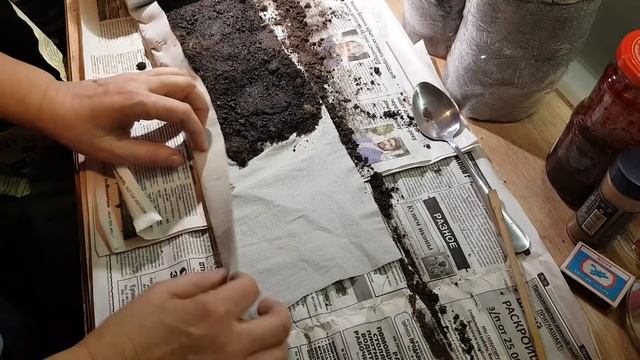 Новые тонкости посадки лука - чернушки в улитку смотреть онлайн