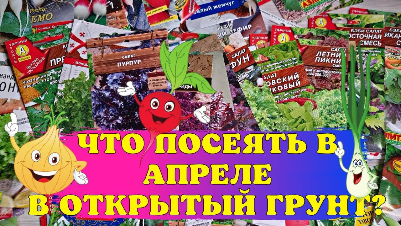 СВОЯ зелень УЖЕ НА МАЙСКИЕ ПРАЗДНИКИ! Овощи, которые СЕЕМ В АПРЕЛЕ В ОТКРЫТЫЙ ГРУНТ! смотреть онлайн