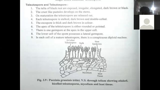 Basidiomycetes: Puccinia смотреть онлайн
