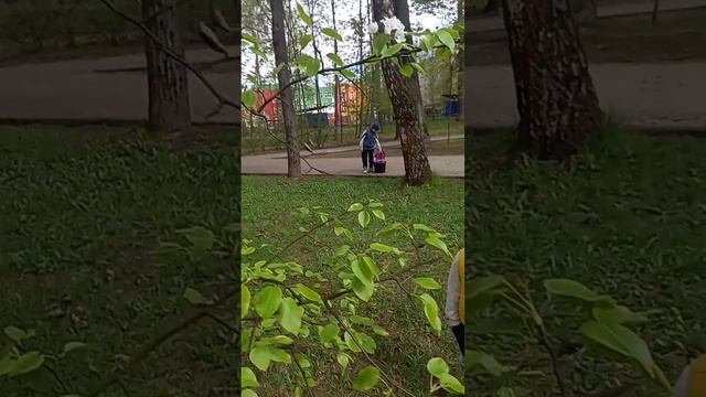 Сады цветут...