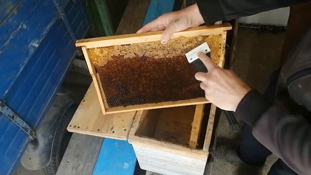 Стимуляция и подкормка пчёл при сжатом гнезде весной. смотреть онлайн