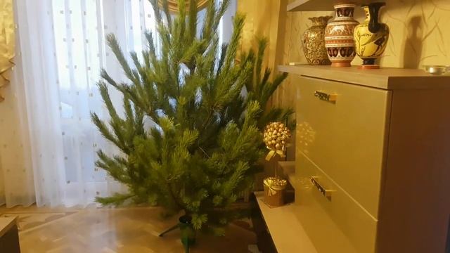 ВЛОГ: Купили елку // Тащим оленя смотреть онлайн