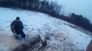 Заготовка дров в лесу