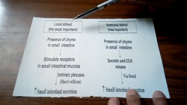 GIT Diagrams Revision Part 2 Dr Mohamed Fayez смотреть онлайн