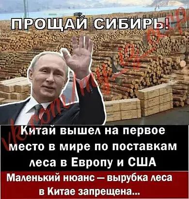 Лес Сибири вырубается и вывозится в Китай смотреть онлайн