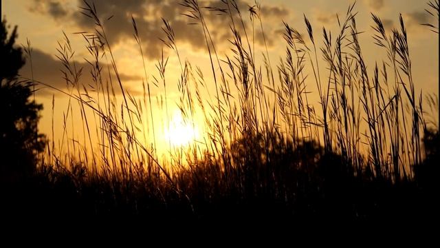 В чем секрет ЗВУЧАНИЯ BOSS GT-1? Действительно ли ЗВУК ПЛАСТМАССОВЫЙ? Выясняем! смотреть онлайн