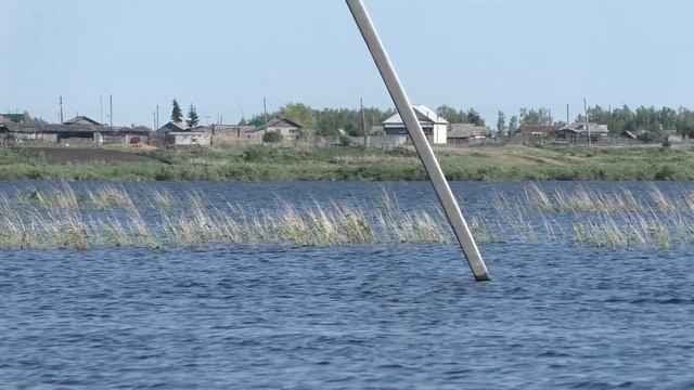 Как пасти, чем поить коров пастбище в деревне пастухи Сибири смотреть онлайн