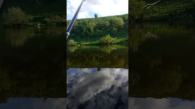 Отдых в деревне. Рыбалка ? смотреть онлайн
