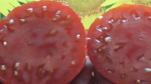 ТОМАТ ДЕ ФРАУ. ДЕГУСТАЦИЯ. Ольга чернова.