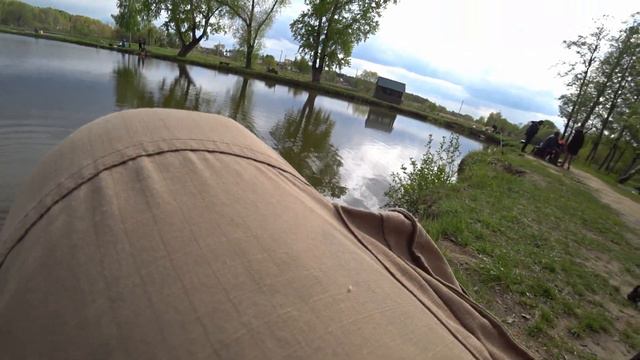 Отменный клёв. Наловили столько карпов сколько не планировали