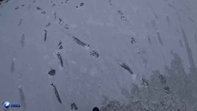 НАЙТИ и СЛОВИТЬ любую РЫБУ во что бы то ни стало! Зимний Рогачев 2023 смотреть онлайн