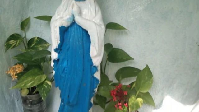 "MAGANDANG HALAMAN GOLDEN POTHOS PARA SA ATING GROTTO" смотреть онлайн