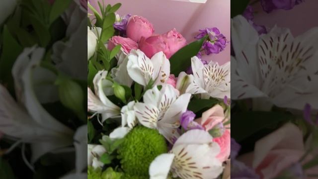 Весна Лето №2