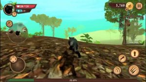 Симулятор Пантеры Wild Panther Sim 3D бегаем по джунглям