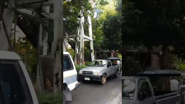 ЧАНГ МАЙ. БУДДИЙСКИЕ ХРАМЫ НА КАЖДОЙ УЛИЦЕ