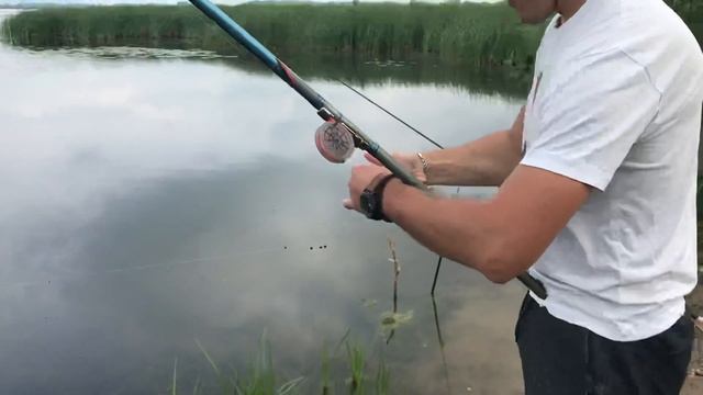 ВОДА КИПИТ- НЕРЕСТ РЫБЫ»УКЛЕЙКА МЕЧЕТ ИКРУ смотреть онлайн