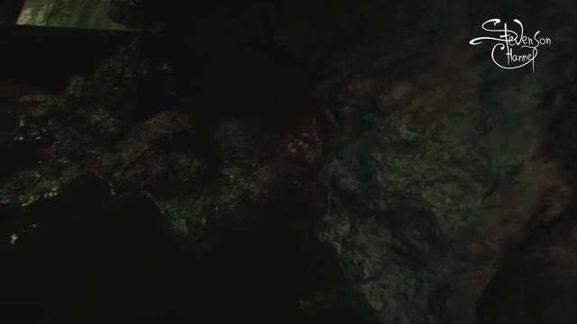 Тварения Уильяма Биркина -9- Ада будет Рада смотреть онлайн