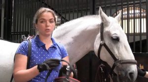 #1. Евро упряжь: на что обратить внимание при выборе для спортивного конного драйвинга