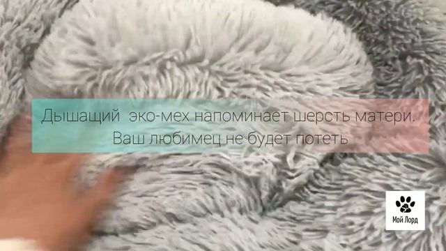 Лежанка со съёмными чехлами для кошек и собак Мой Лорд, цвет светло-серый, диаметр 70 см смотреть онлайн