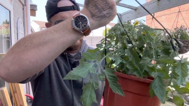 Generous Space Saving Ideas for your Garden - Gardening Tips with Joe Mills EPI #1 | 2023 смотреть онлайн