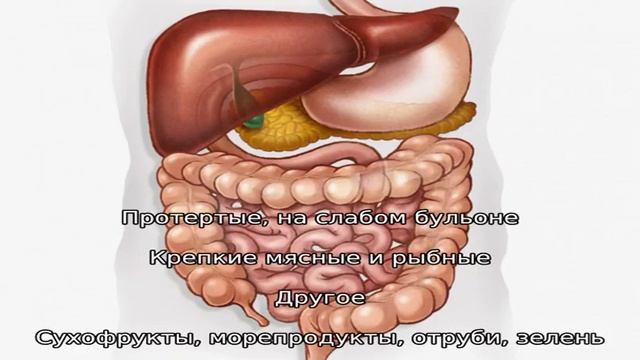 Что такое кишечная перистальтика и как ее улучшить