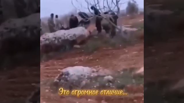 #россия #славяне #23февраля #сднёмзащитникаотечества