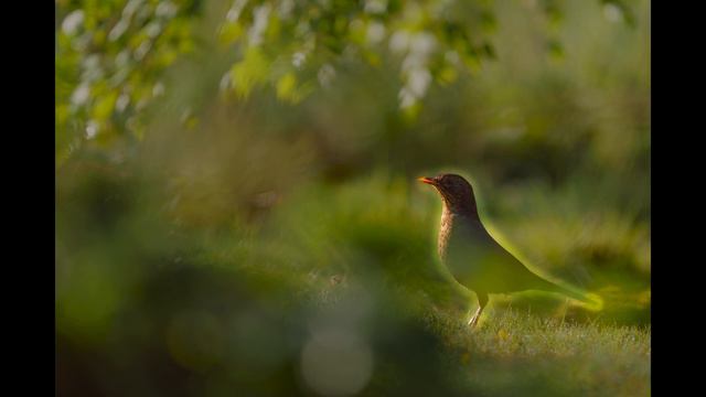 How do you know if your photos are good? смотреть онлайн