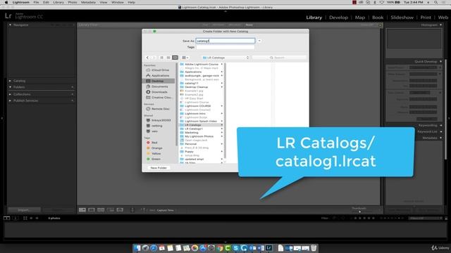 Creating Lightroom Catalog - Adobe Lightroom Beginner to Expert смотреть онлайн