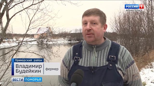 Жители Левковки пытаются спасти лебедя смотреть онлайн