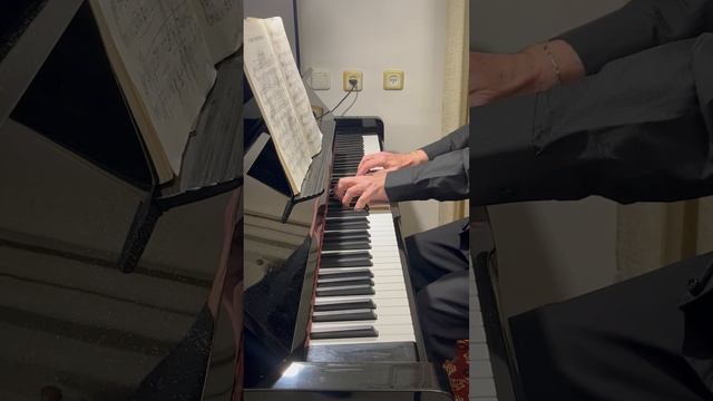 Chopin: Mazurka Op. 30 No. 1 смотреть онлайн