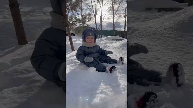 Гуляем с Мироном. Сколько снега выпало у вас? смотреть онлайн