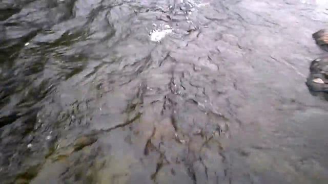 Нахлыст - речной хариус. смотреть онлайн