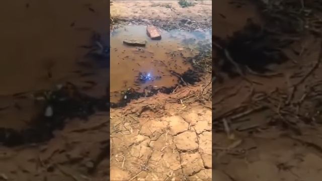 ?Поляризационные очки? для рыбалки⭐ смотреть онлайн