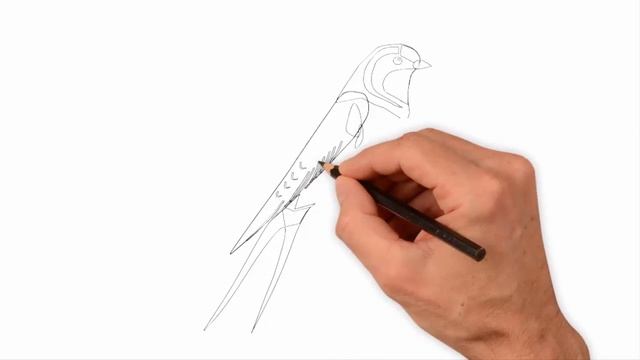 Ластівка, як намалювати ластівку, малюємо пташку навесні смотреть онлайн