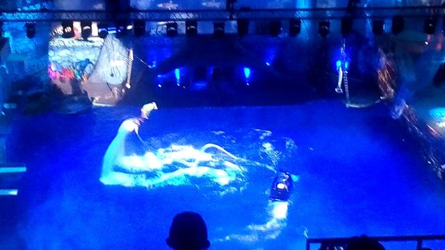 Ёлка в олимпийском.